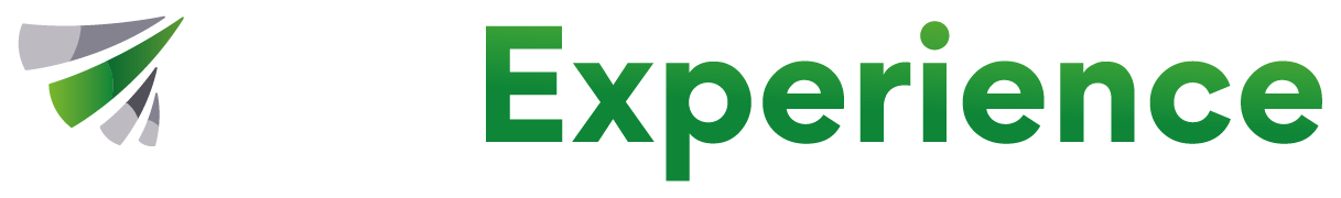 NetExperience Logo